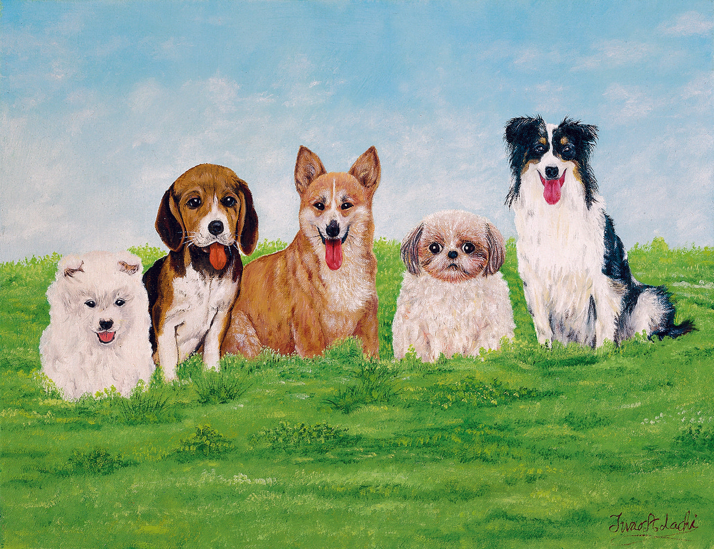 Paws United