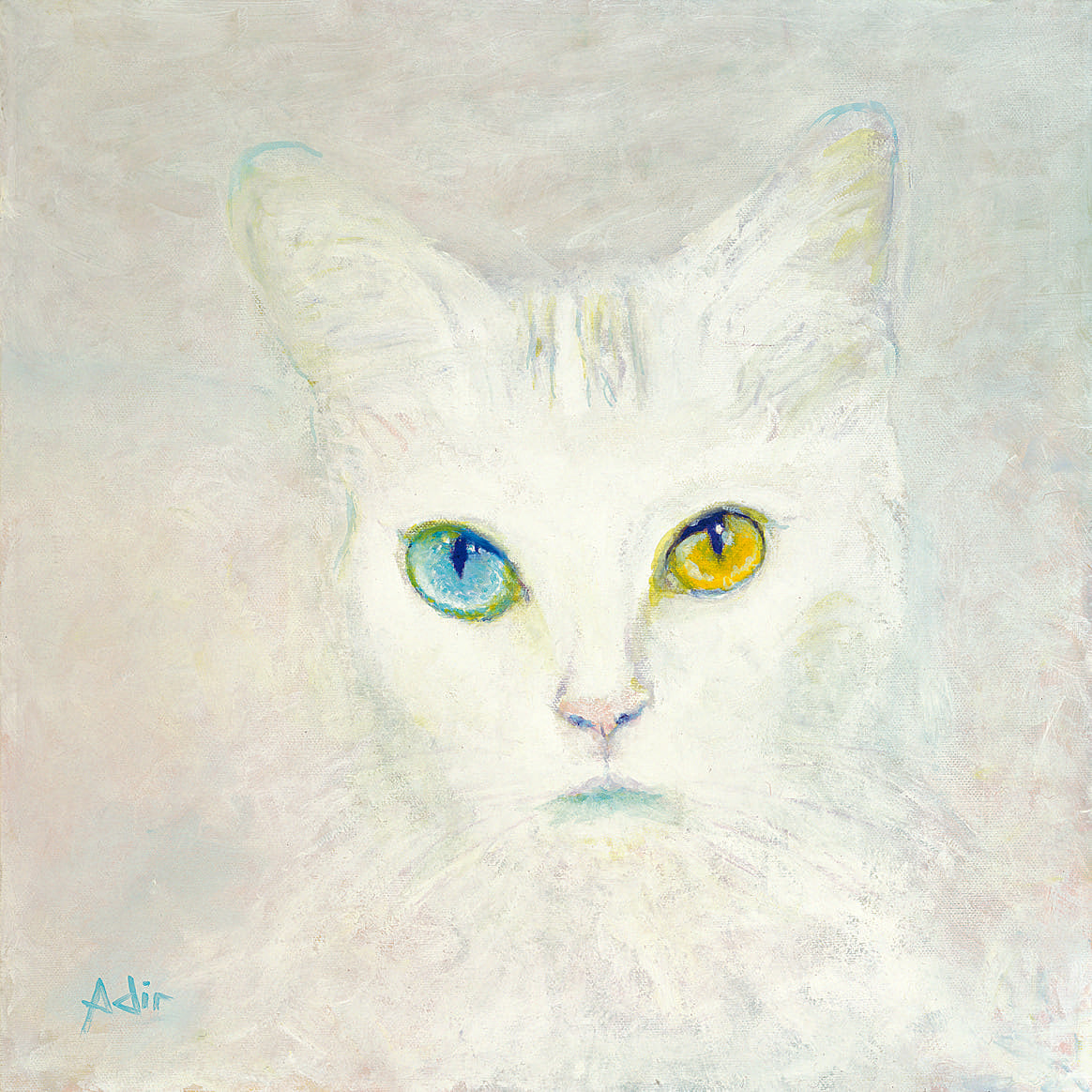 Whiskered Aurora