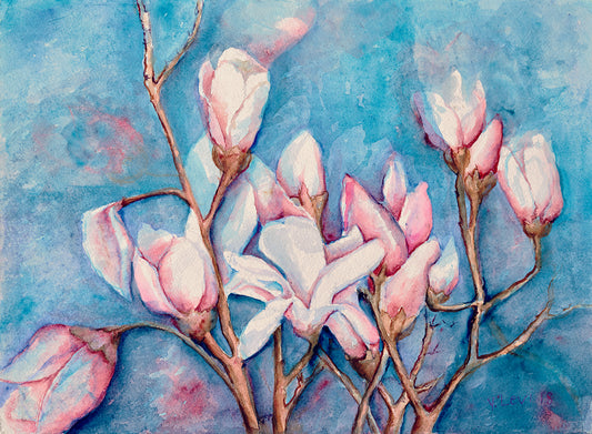 Magnolias in Bloom