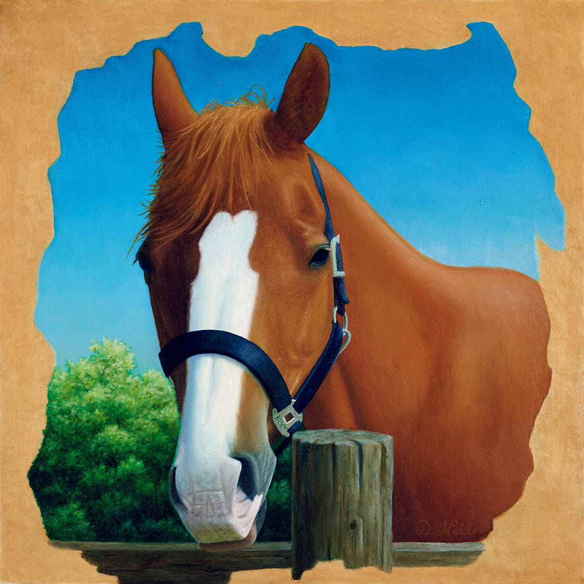 Equine Portrait