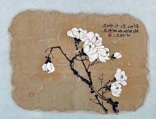 Nature’s Calligraphy