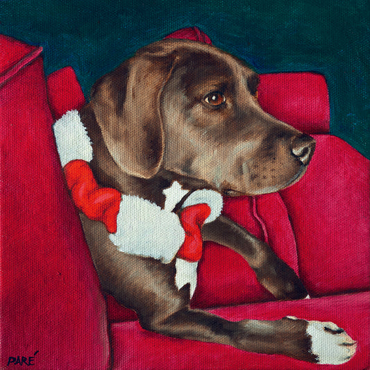Red Seat and Furry Heart