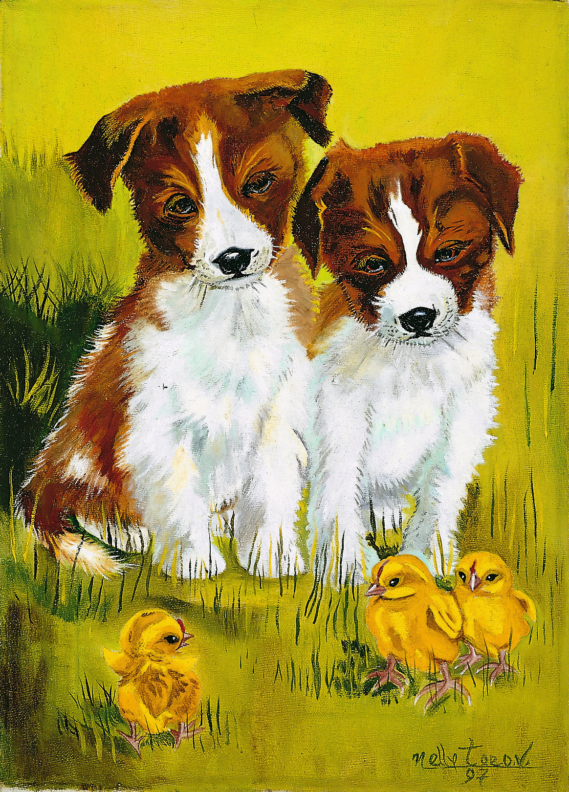 Paws and Feathers