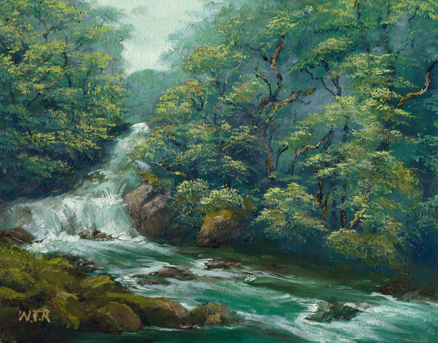 The Forest’s Pulse