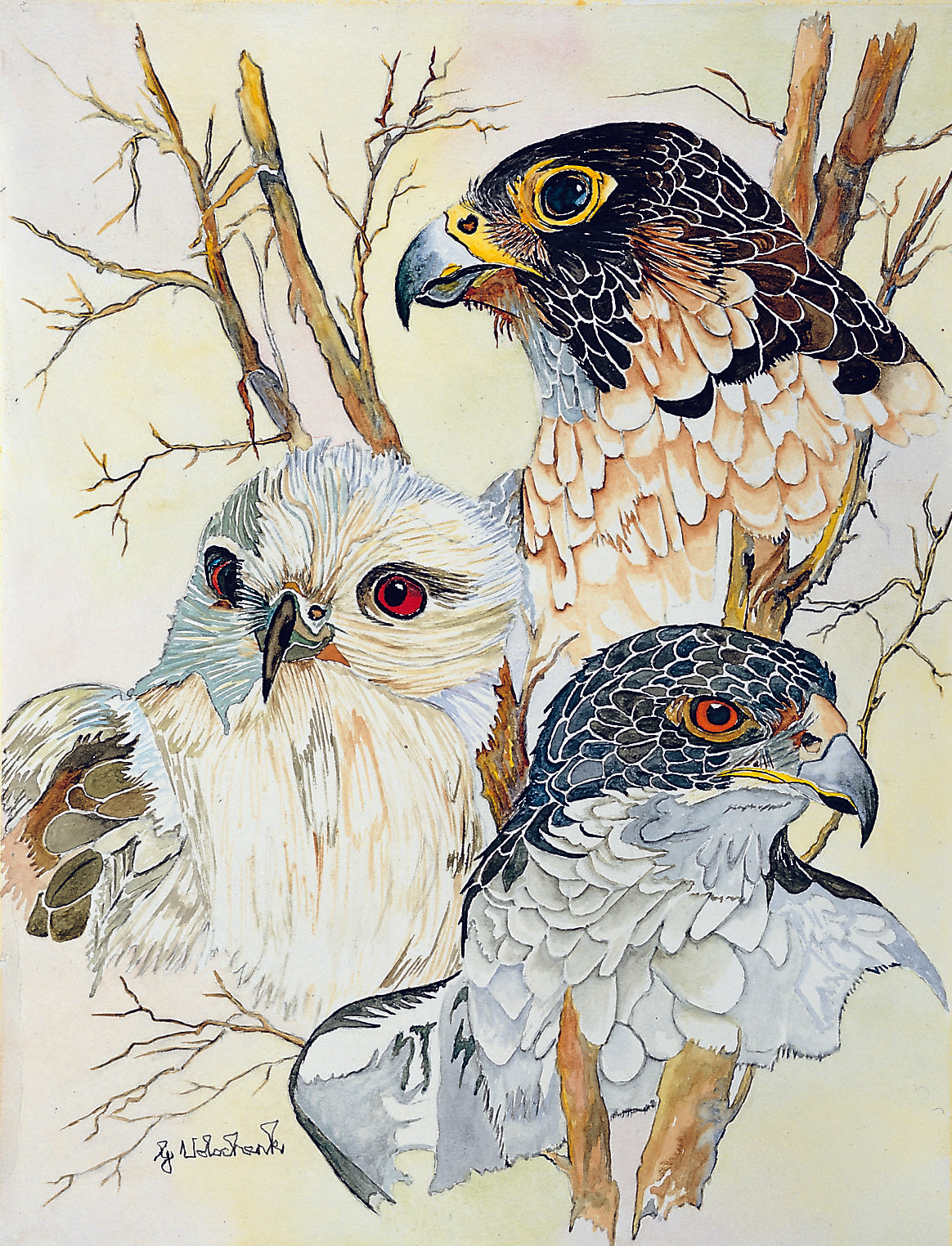 Winged Trio