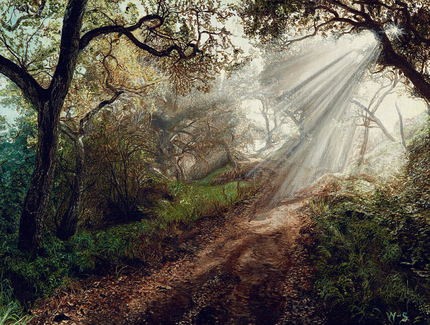 Path of Light