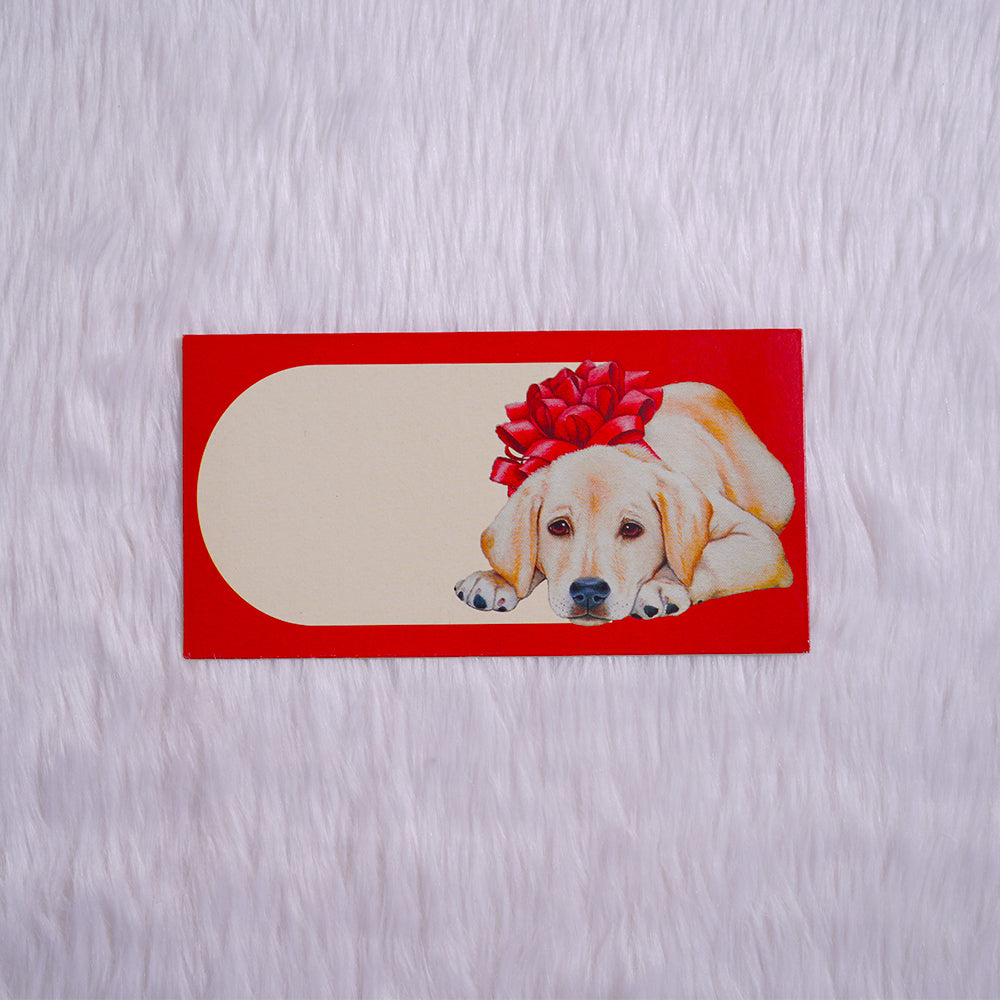 Gift Envelope Combo 3 - Set of 6