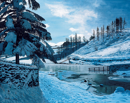 The Frosted Valley