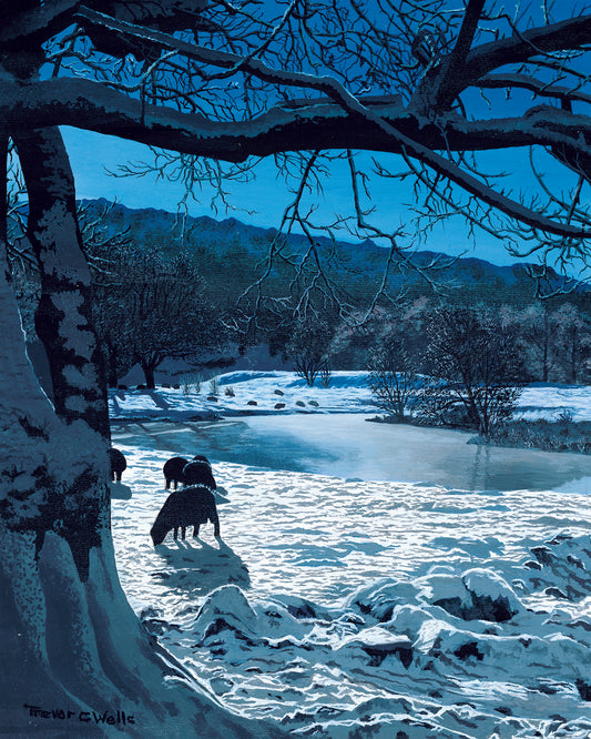 Moonlit Snow