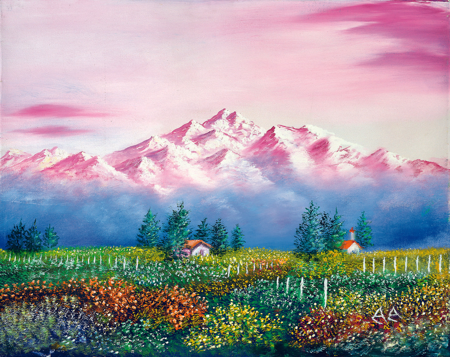 Blush of the Andes