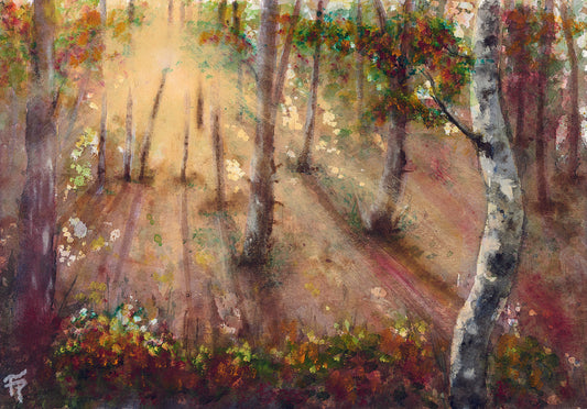 Morning Light